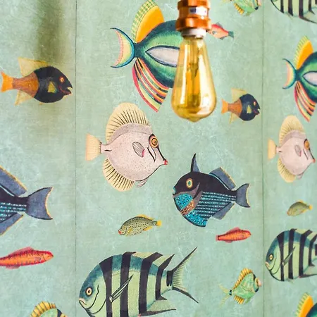 Il Cefalo & Restaurant 3* Castellabate